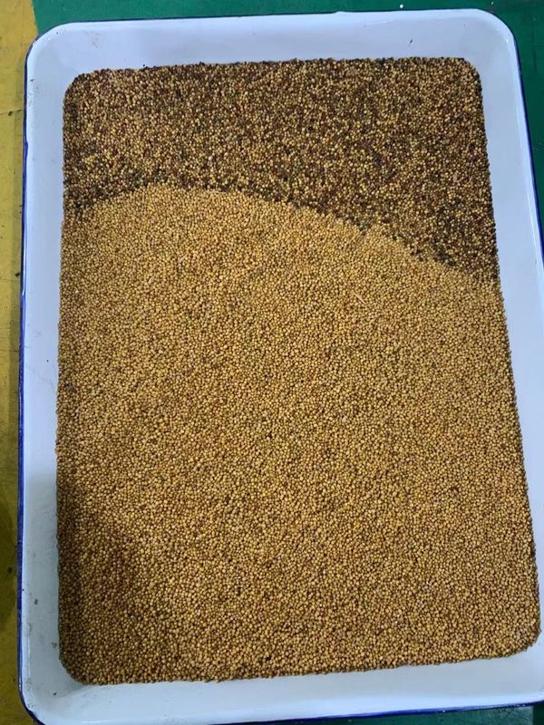 WENYAO Coleseed色分離機械、菜種Ccd色の選別機