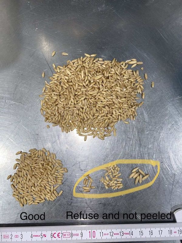 高い分類の正確さのWenyao RGBのカメラのムギ色の選別機