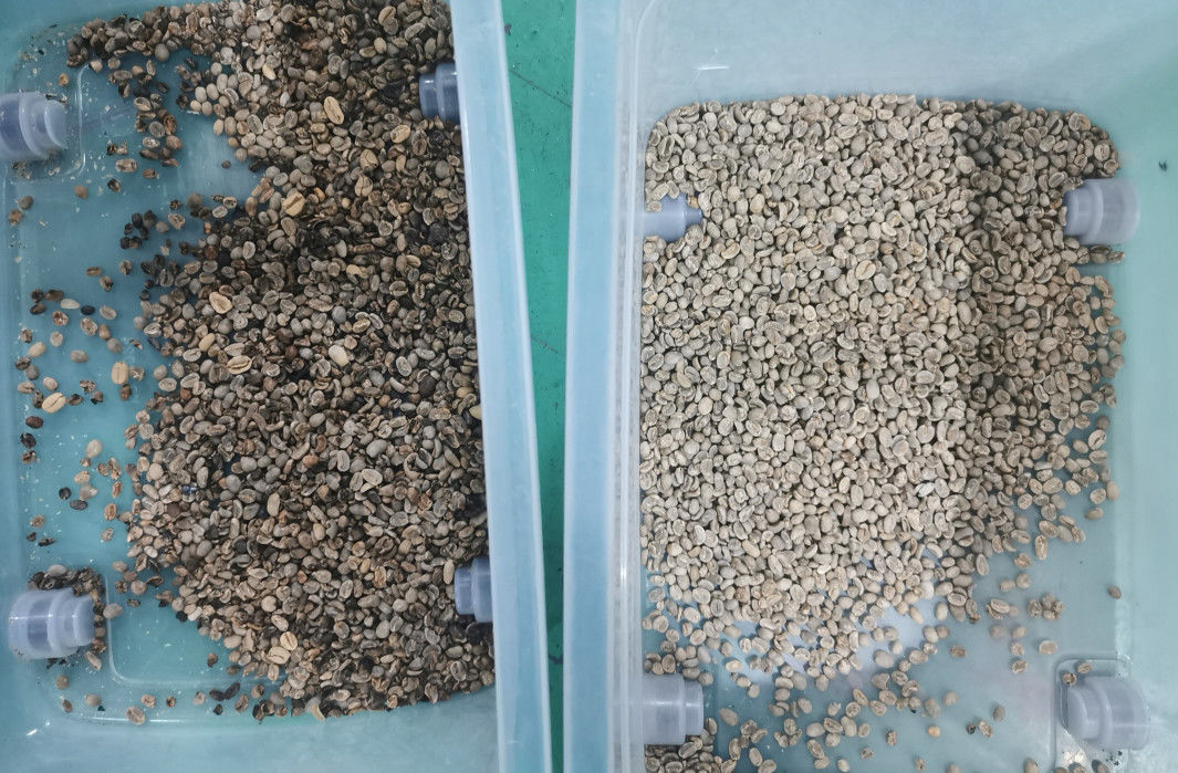99.99粒の正確さの豆色の選別機、紫色の革豆色の分離器
