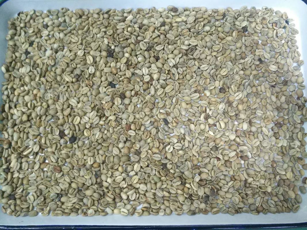 分離器機械を分類する高容量5400ピクセルCCDのカメラのコーヒー豆色の選別機