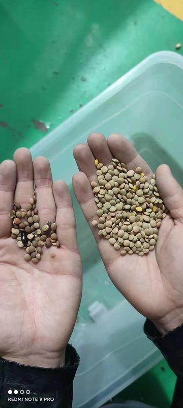 黄色いレンズ豆の豆色の選別機の台湾Meanwellの動力源