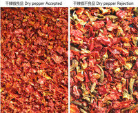 ウェンヤオ・チャートタイプ AI インターインテリジェント 乾燥チリ 選別 赤チリ 分離 自浄機能 カラーソート