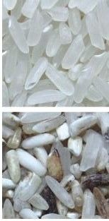 操作が簡単 ステンレス304食品グレードホッパー付きのコーヒーカラーソート機