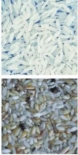 操作が簡単 ステンレス304食品グレードホッパー付きのコーヒーカラーソート機