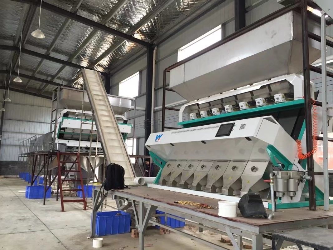 2台のCCDのカメラが付いている光学RGBのムギ色の選別機7000kg/h