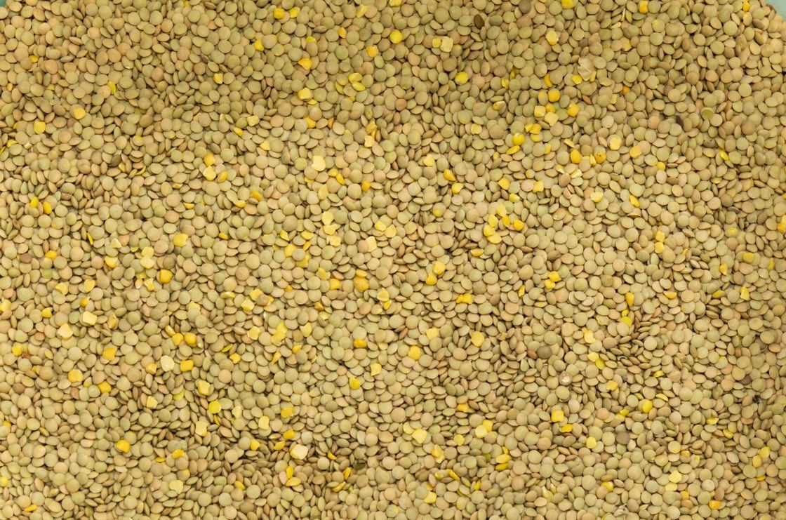 レンズ豆のひよこ豆RGB色の選別機は自動計算を機械で造る