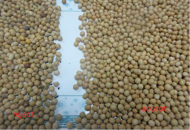 自動CCD RGBの豆色の選別機