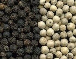 5つのシュートのゴマ色の選別機高精度な5000kg/H