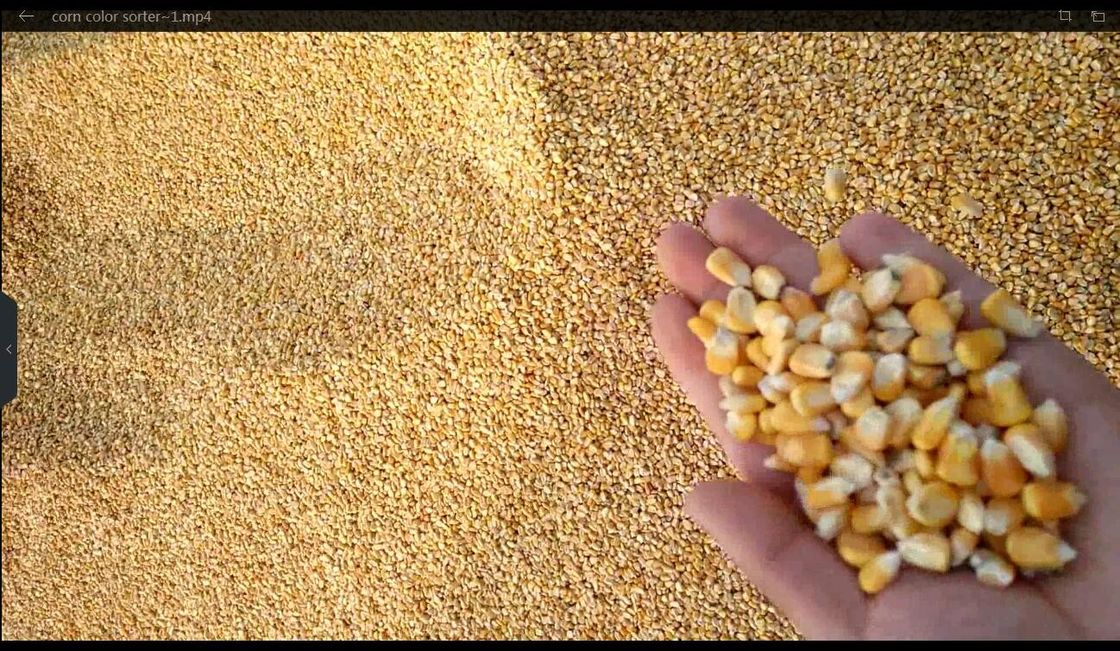 容易な操作の人工知能を用いるフル オートマチックの穀物色の選別機