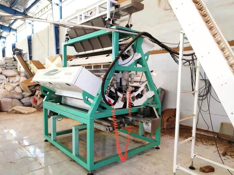 Ccdのカメラが付いている緑茶の紅茶色の選別機機械