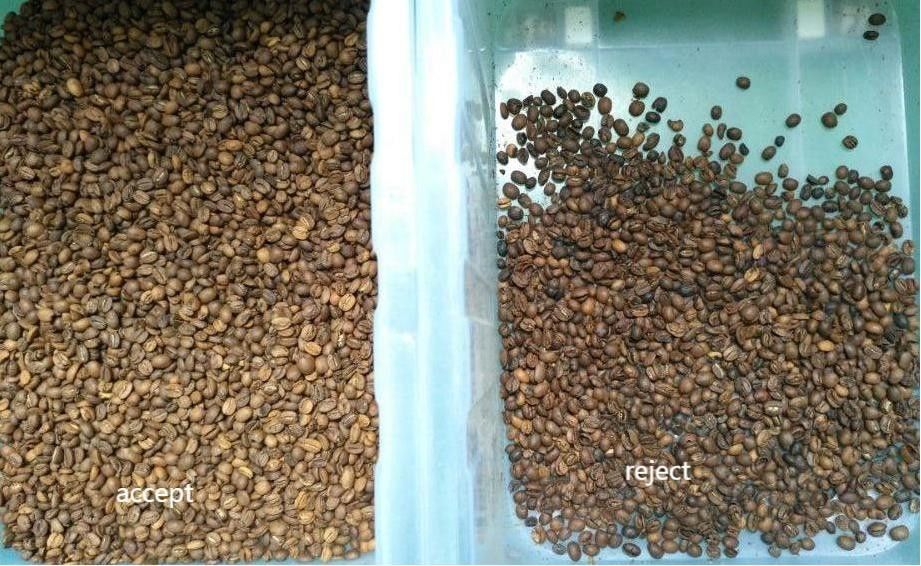 ウェンヤオ 1 チャート 500kg/h 高出力 CCD カラーセパレーター 焼いたコーヒー豆 カラーソート機 緑豆 カラーソート機