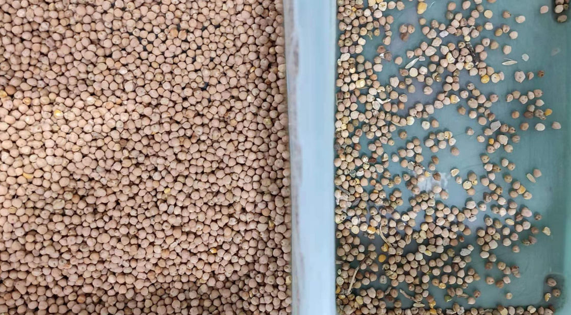 800kg/H豆は5400のピクセル高リゾリューションCCDのカメラが付いている選別機を着色する