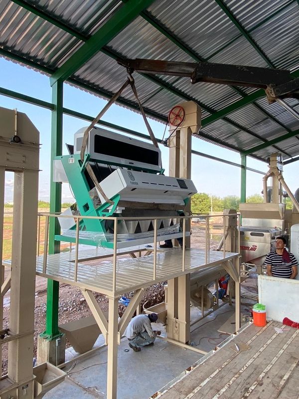 Wifiのリモートが付いている高い分類の正確さの多機能の暗い塩色の選別機機械