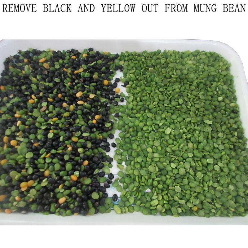 赤い腎臓のインゲンは分類機械自動計算を着色する