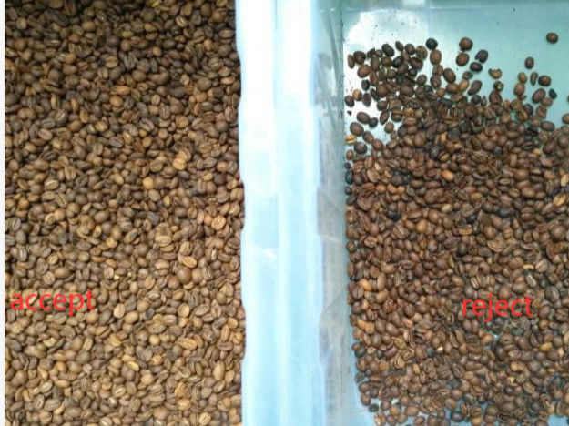 コーヒー豆分離機 コーヒー豆色分別機 ウェンヤオ工場