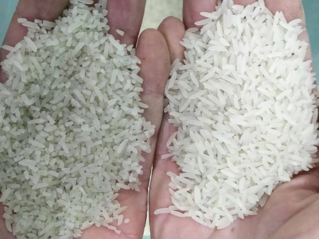 マカデミア ナットは豆を播く穀物色の分類が1シュートを64のチャネル機械で造る