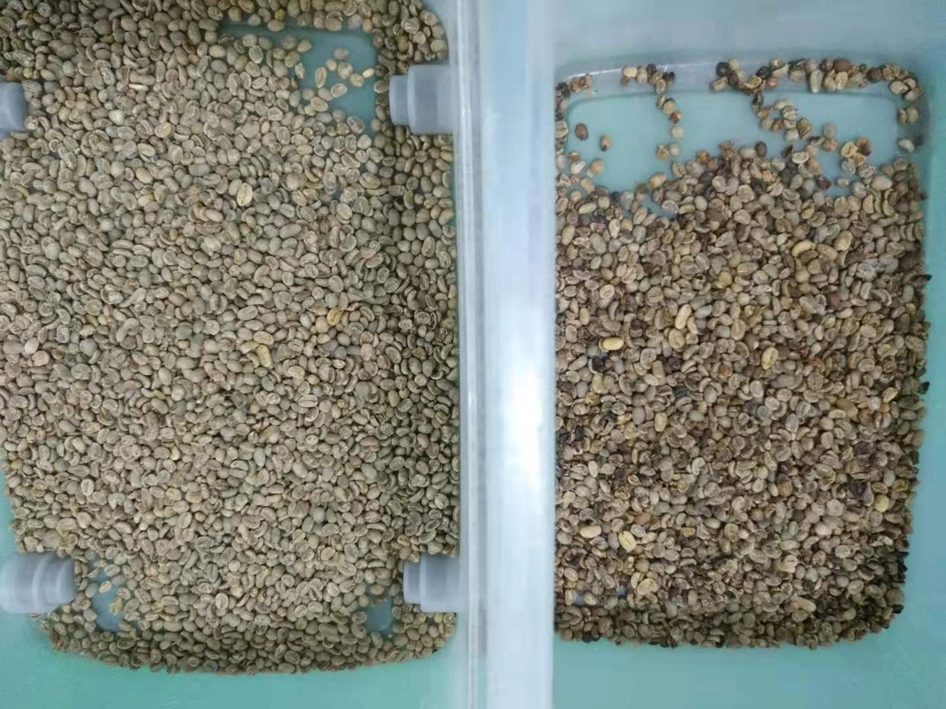 3つのシュート192はコーヒー豆色の分類機械Wenyaoを運ぶ