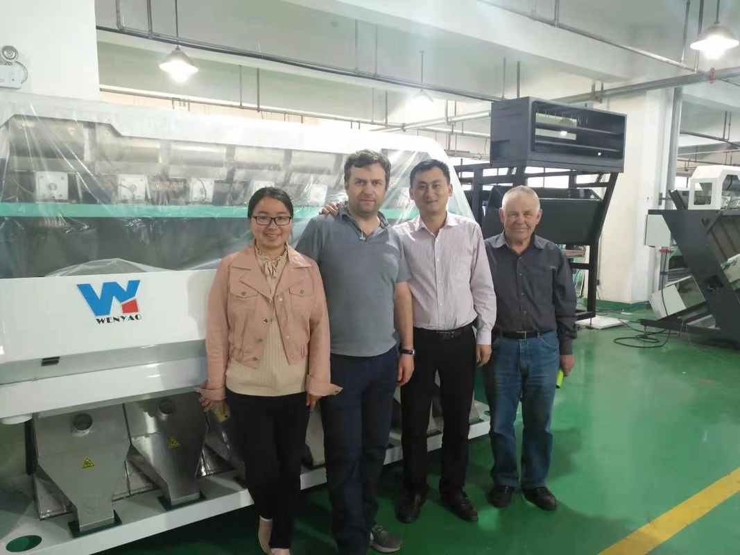 Remove悪く黒い玄米のためのCKD/SMCフィルター米色の選別機