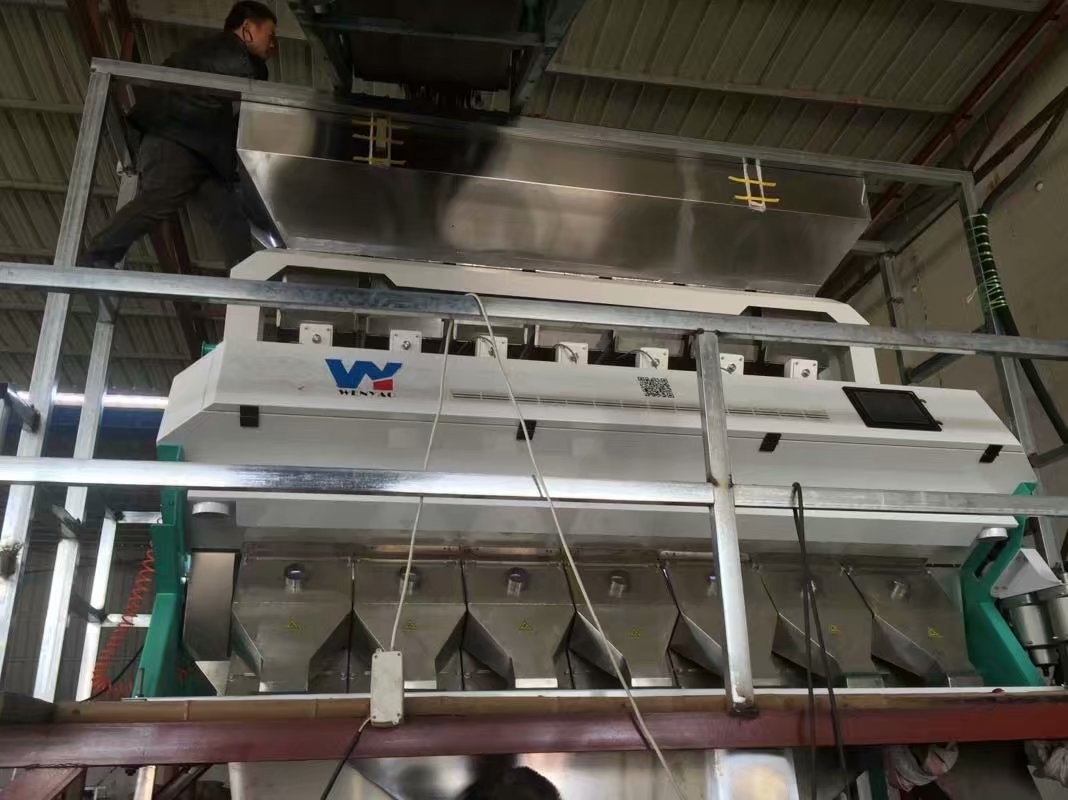 Remove悪く黒い玄米のためのCKD/SMCフィルター米色の選別機