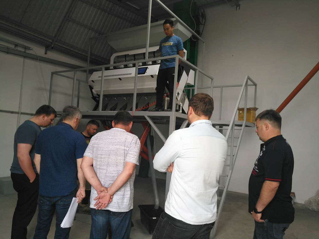 米のトウモロコシのムギの穀物のための高出力CCD光学色の選別機