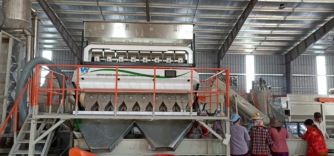 光学CCDのカメラのムギの分類機械4000kg/H効率320のチャネル