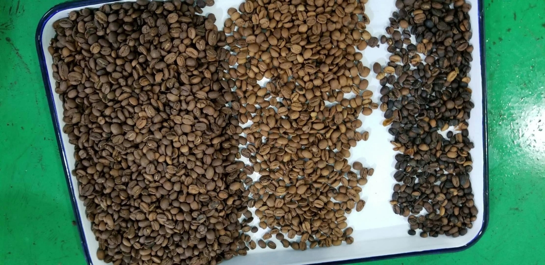 Intelligennt CcdおよびRgbの技術のコーヒー豆の大豆色の選別機
