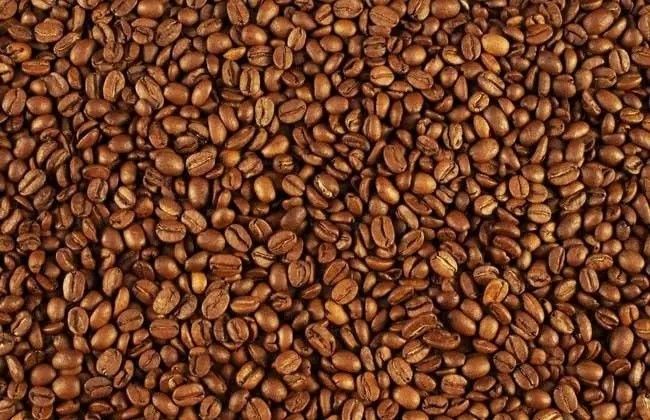 ブラジルのカカオ豆の穀物はCCD RGBが付いている分類機械を着色する