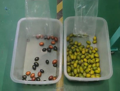 光学カルダモン色の分類機械多機能の茶コーヒー豆はくだらない色の選別機を乾燥した