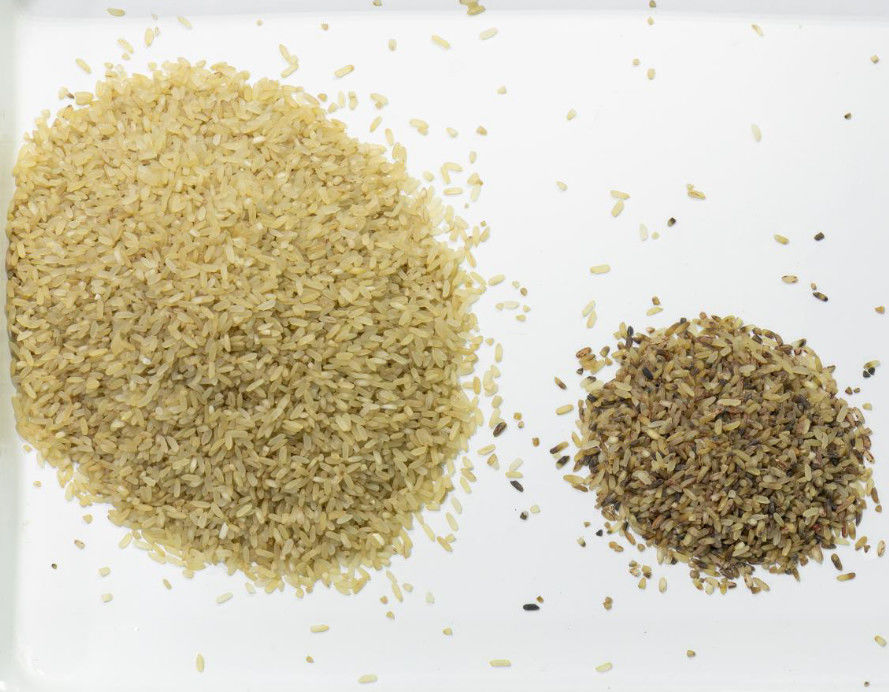 Wenyao CCD Carameの黒い米色の選別機機械を分類する光学米色の選別機色