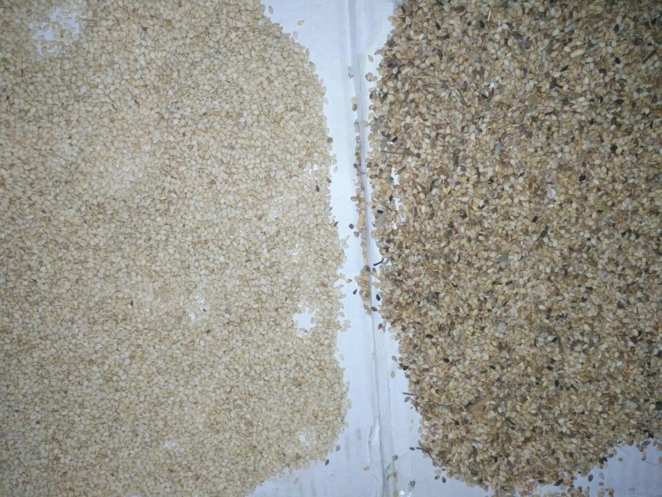 ムギの水田のトウモロコシの大豆の穀物色の選別機機械高精度
