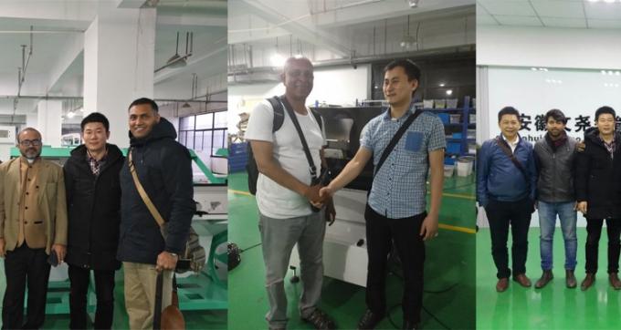 100~900KG/H マカダミアナッツ・ワヌルト・ハズルナッツの色分け機 8