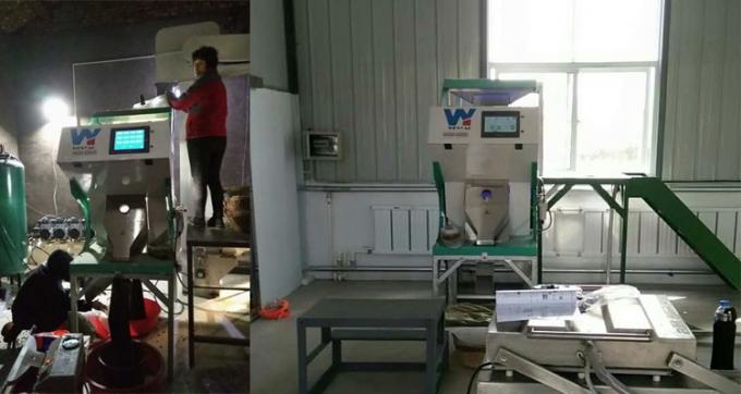 220V / 50Hz ウェンヤオ カラーソート機 コーヒー豆チェリー 11