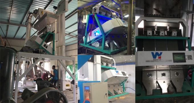 220V / 50Hz ウェンヤオ カラーソート機 コーヒー豆チェリー 12