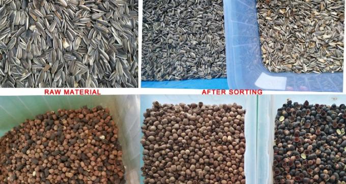 220V / 50Hz ウェンヤオ カラーソート機 コーヒー豆チェリー 5