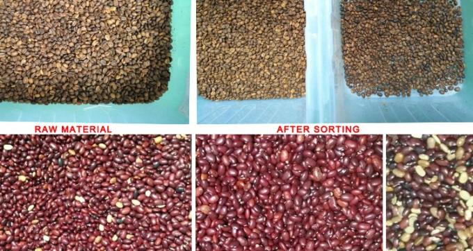 220V / 50Hz ウェンヤオ カラーソート機 コーヒー豆チェリー 6