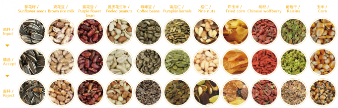 インテリジェントプルーン ブルーベリーキャベツ キッチー フライド洋?? 野菜 果物 農場加工用色分け機 4