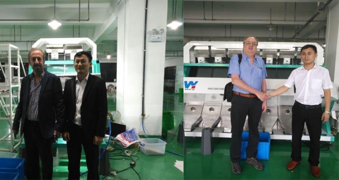 インテリジェントプルーン ブルーベリーキャベツ キッチー フライド洋?? 野菜 果物 農場加工用色分け機 11