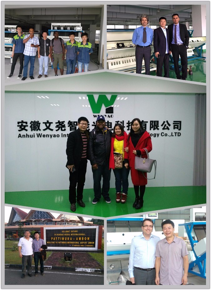 CCDカメラ 高速色分別機 ピーナッツ生産用 光学色分別機 17