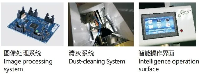 500kg/h 高容量 南米 サッチャインチ 色分別機 植物学用色分別機 4