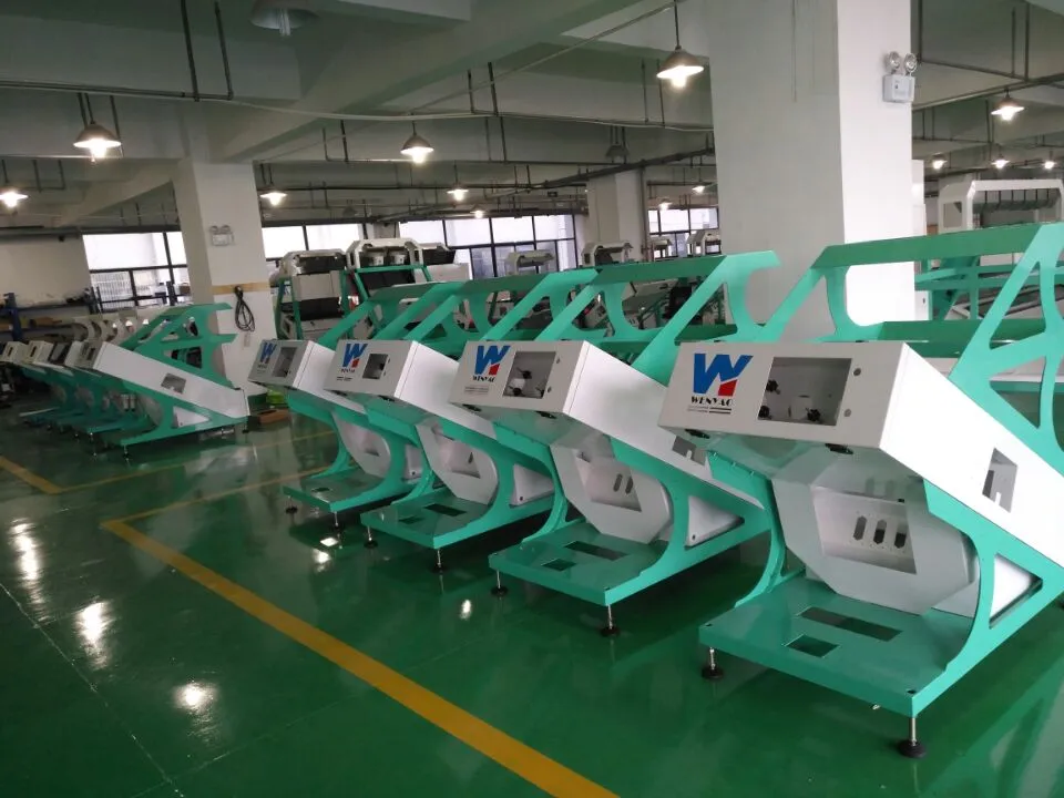 500kg/h 高容量 南米 サッチャインチ 色分別機 植物学用色分別機 7