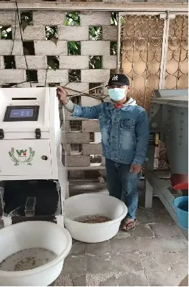 500kg/h 高容量 南米 サッチャインチ 色分別機 植物学用色分別機 9