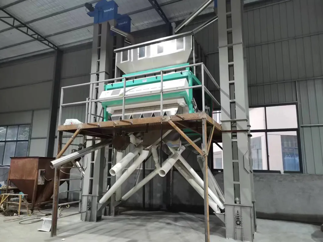 500kg/h 高容量 南米 サッチャインチ 色分別機 植物学用色分別機 13
