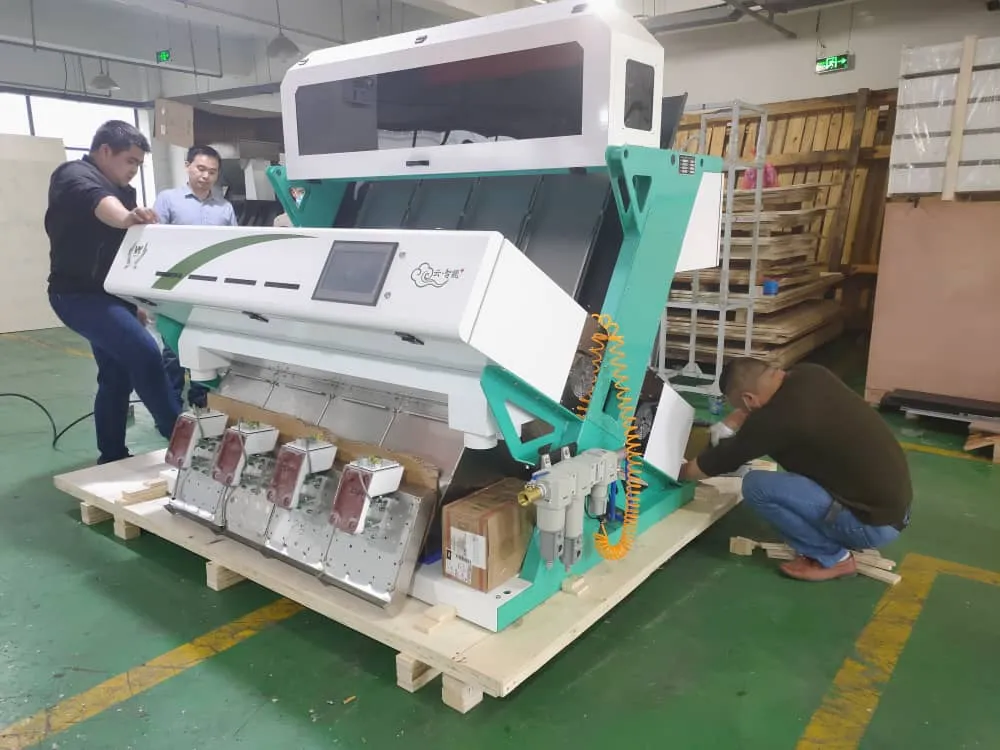 500kg/h 高容量 南米 サッチャインチ 色分別機 植物学用色分別機 14
