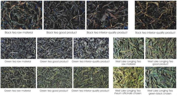 スリランカの黒茶の分類のためのWenyao CCD茶分別機 2