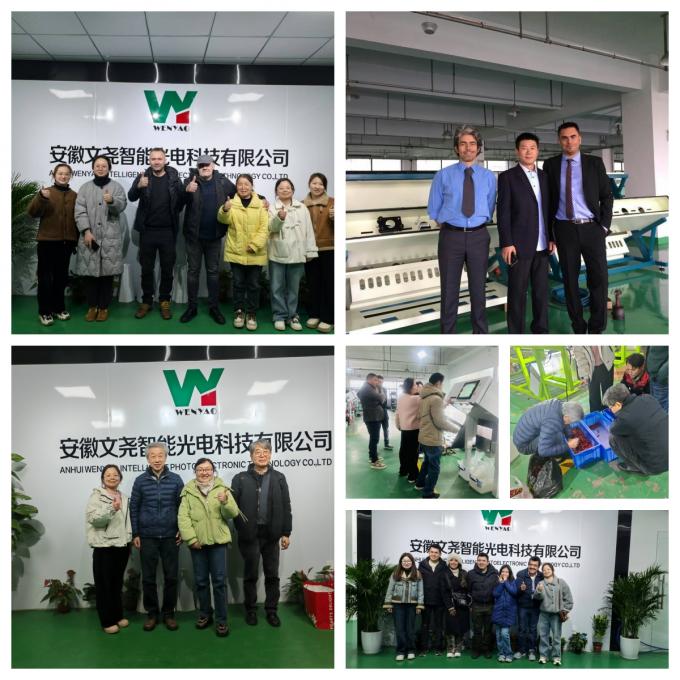 AI学習 インテリジェントベルトスタイル ピーナッツハゼナッツ ピスタチオナッツ カラーソート機 21