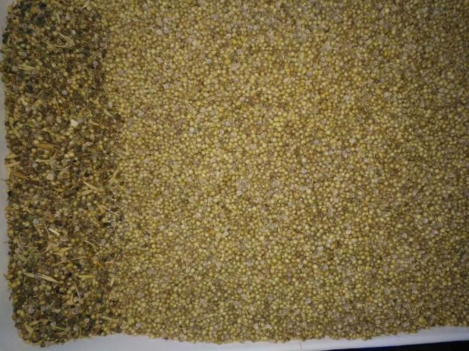 小型光学種子色分別機 優れた性能種子洗浄機 3