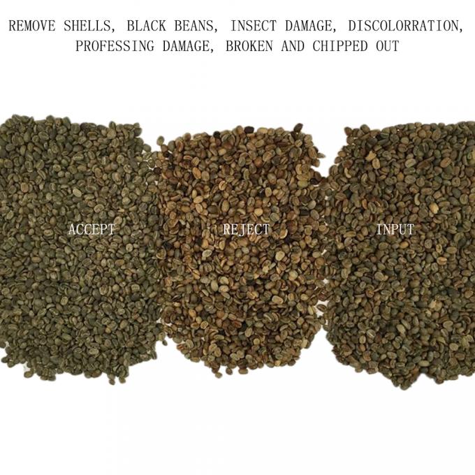 中国 カスタマイズされた食品安全光学色分別機 コーヒー豆のためのCCD色分別機 3