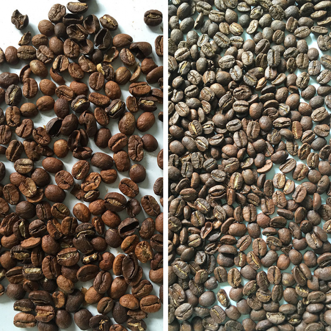 中国 カスタマイズされた食品安全光学色分別機 コーヒー豆のためのCCD色分別機 4