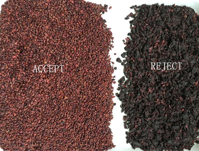 320チャネル光学CCD色分別機 CE認証のレーズン色分別機 2