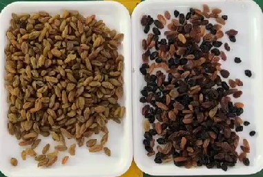 320チャネル光学CCD色分別機 CE認証のレーズン色分別機 3